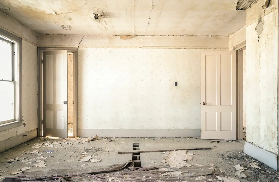 Waste disposal crew managing a cleanout project in Shelbyville